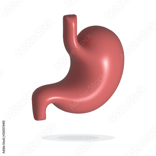 Human Stomach 3d render. Internal organ, 3d human gastrointestinal tract. Stomach pain and heartburn symbol. Digestive disease. Gastritis and acid reflux concept.Vector illustration isolated on white.