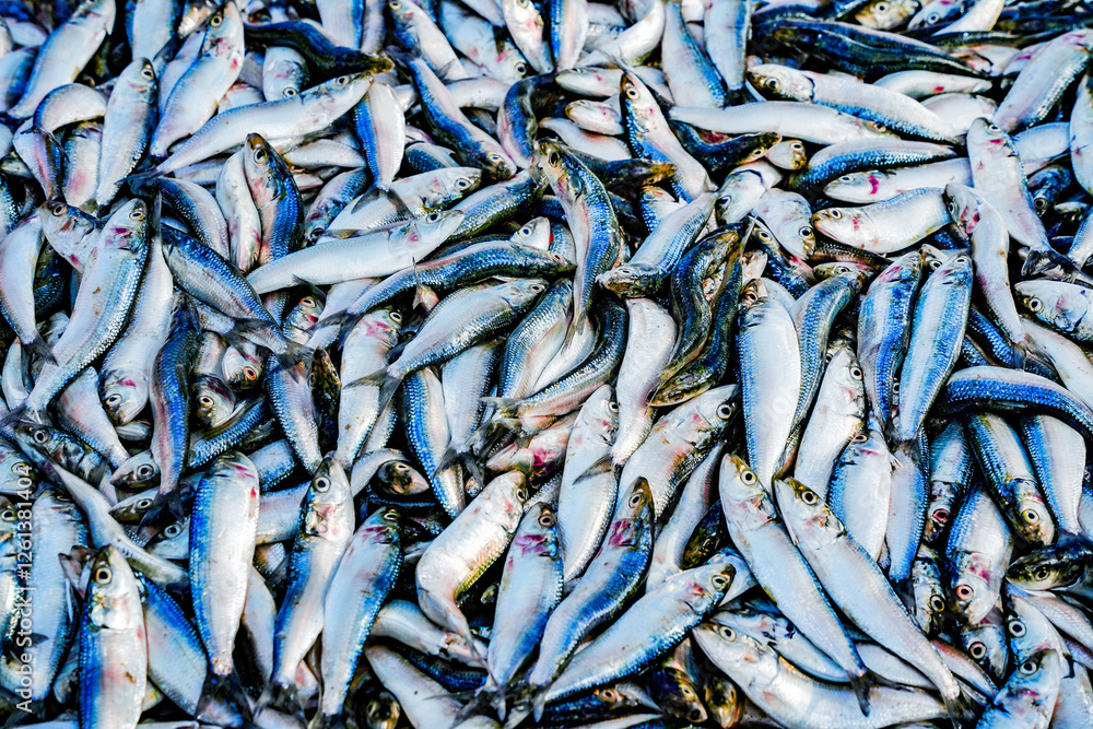 Obraz premium Fresh fish in street market. Fresh raw of fish in the market of Negombo, Sri Lanka, Asia