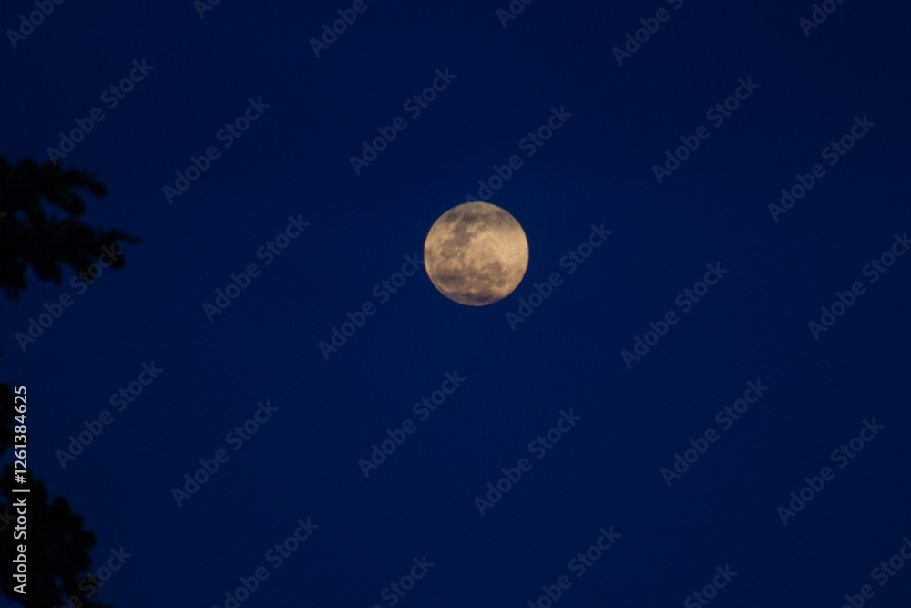 Moon Closeup Showing the Details of Lunar Surface at Night. Moon Closeup Showing the Details of Lunar Surface at Night.