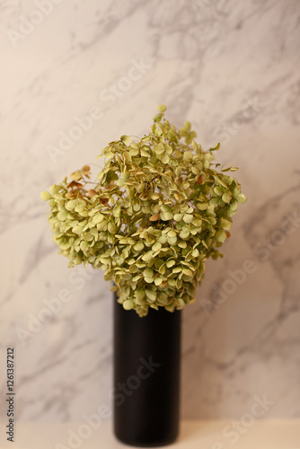 Wallpaper Mural green flower in a black vase against the background of a marble wall, selective focus Torontodigital.ca