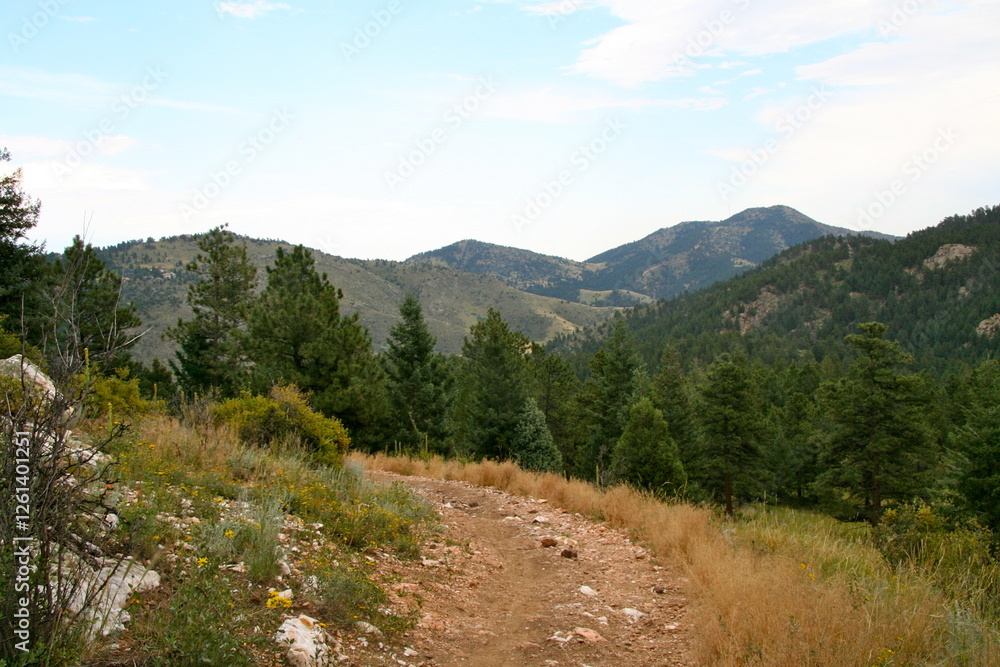 mountain trail mountain trail
