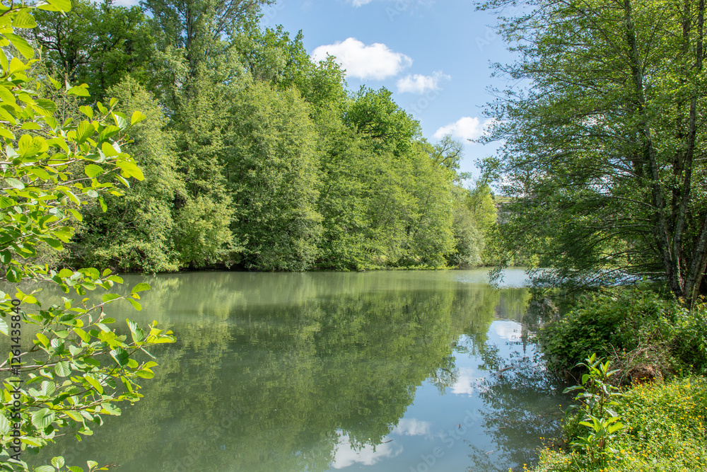 Fototapeta premium Forest landscape with water reflection on a lake in the French countryside of Bordeaux.