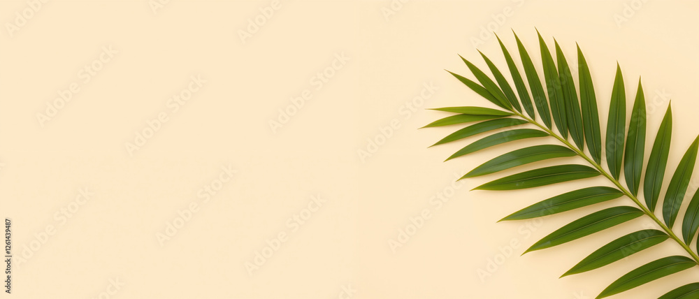 Green palm leaf showcasing vibrant details on a neutral background evoking a peaceful and natural atmosphere representing renewal Green palm leaf showcasing vibrant details on a neutral background evoking a peaceful and natural atmosphere representing renewal