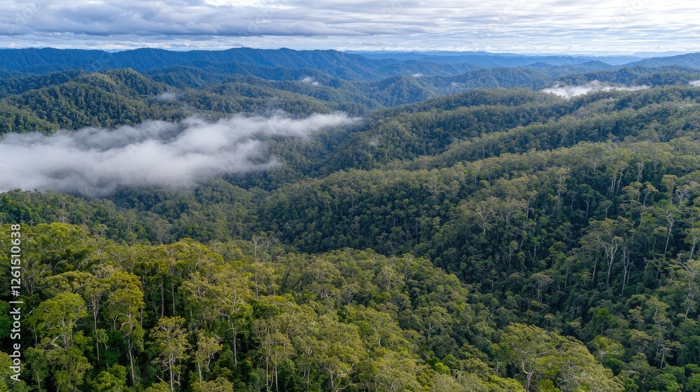 Obraz premium Lush green mountain landscape with misty valleys and distant hills under a cloudy sky