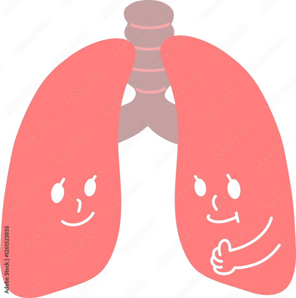 Fototapeta premium 건강한 폐