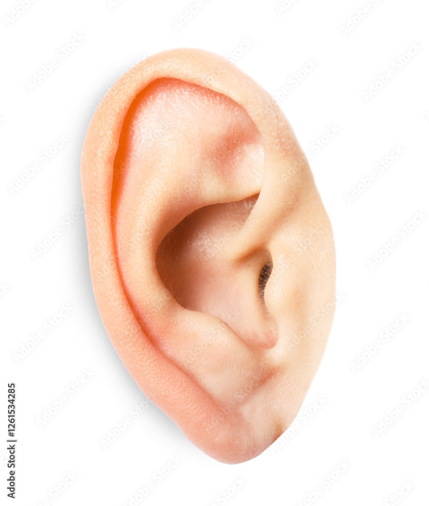 Fototapeta premium Woman on white background, closeup of ear