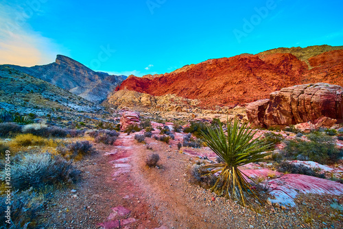 Red Rock Canyon Desert Trail Adventure Eye-Level Perspective photo