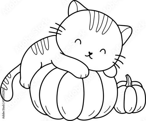 Cute cat with pumpkin cartoon animal outline, line art clipart png illustration	