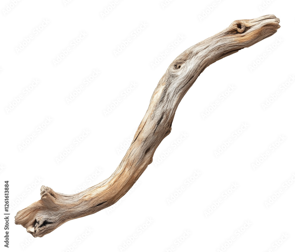 Piece of driftwood on transparent background, nature and texture concept Piece of driftwood on transparent background, nature and texture concept