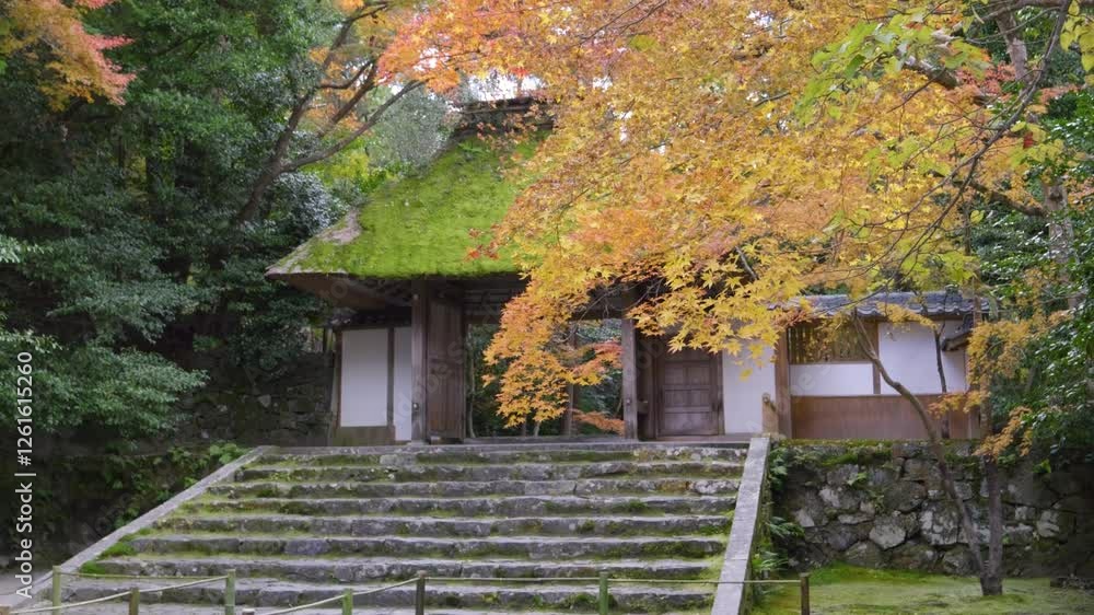 Slow slider over fall color scenery at Hoenin Temple in Kyoto, Japan Slow slider over fall color scenery at Hoenin Temple in Kyoto, Japan