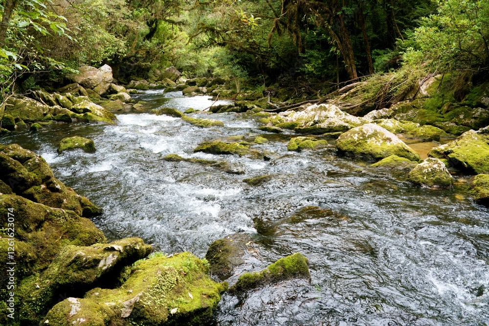 Crystal Clear Water Flowing Over Rocks in the Riuwaka River – Pristine Nature Scene Crystal Clear Water Flowing Over Rocks in the Riuwaka River – Pristine Nature Scene
