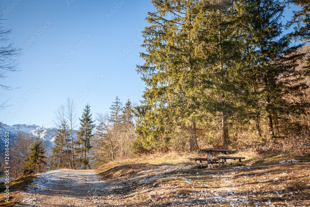 A quiet alpine path in Triglav National Park near Lake Bohinj, Slovenia. The forested route offers scenic mountain views and a light dusting of snow, reflecting the region’s winter charm in julian alp A quiet alpine path in Triglav National Park near Lake Bohinj, Slovenia. The forested route offers scenic mountain views and a light dusting of snow, reflecting the region’s winter charm in julian alp