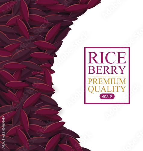 Rice berry. Vector illustration.