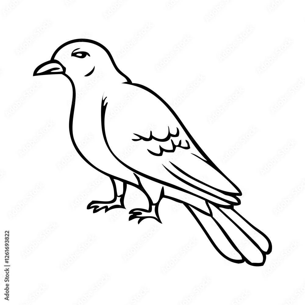 Obraz premium bird sketch vector illustration