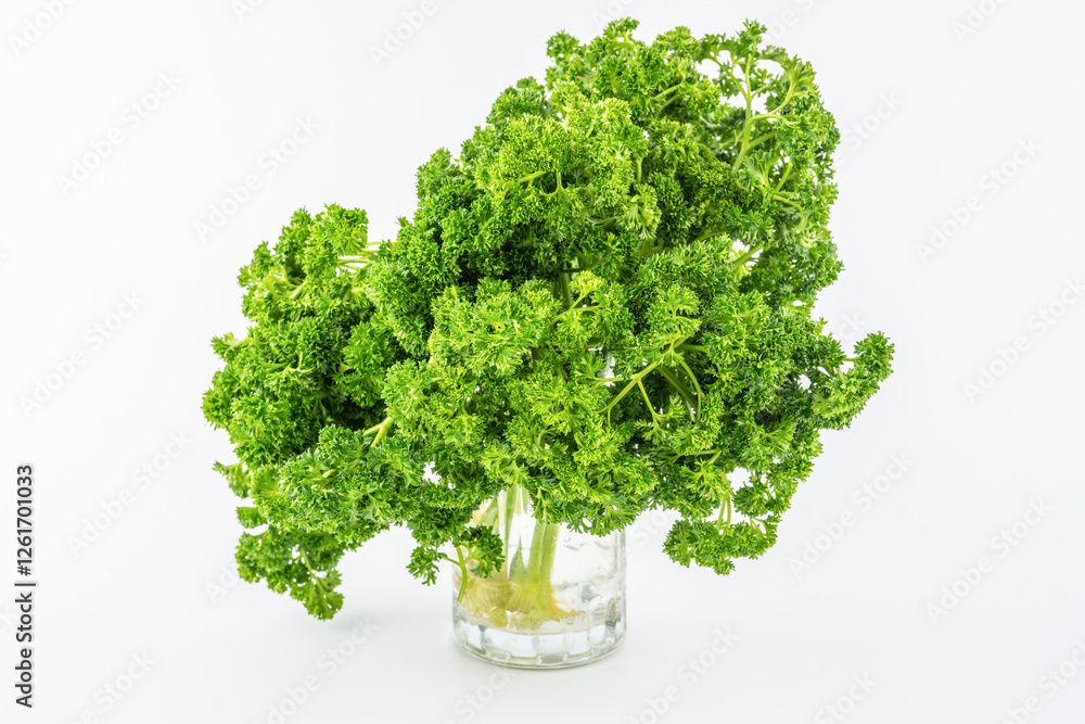 Obraz premium Fresh parsley on white background