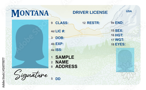 Montana driver's license with female silhouette isolated on white background. Person driver license.