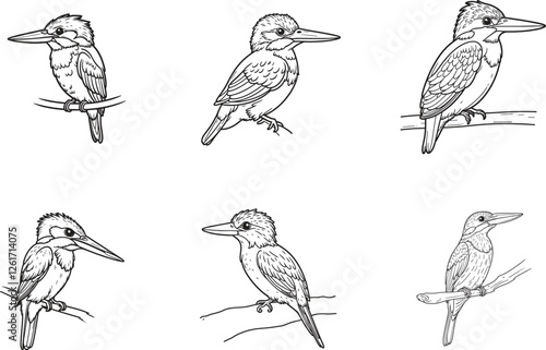 Set of kingfisher silhouette vector illustration.
