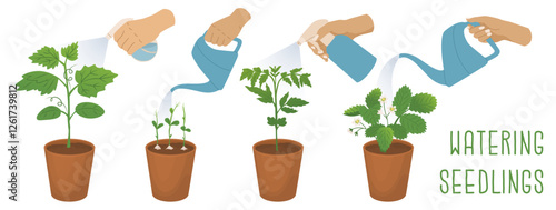 Pots with soil and sprouts of different garden plants. Watering from a watering can and irrigation from a spray bottle. Growing a home garden. Vector illustration isolated on a transparent background.