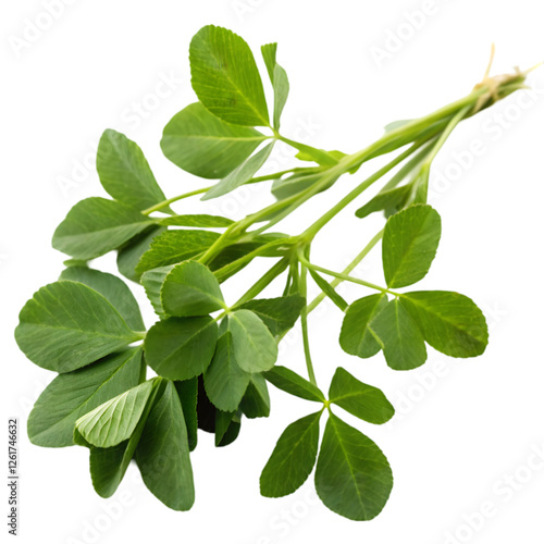 fenugreek leaves