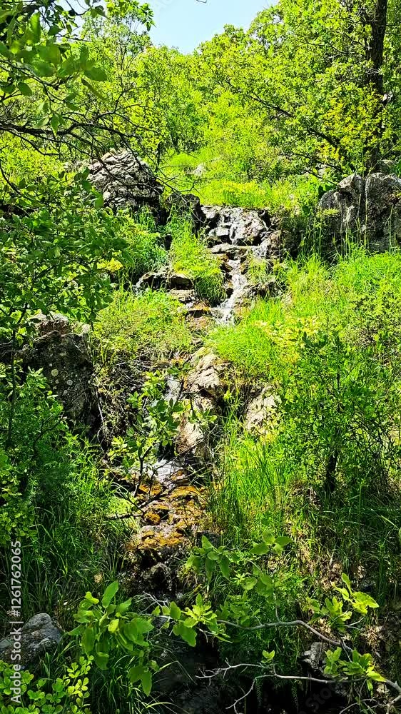 Lush green forest with a small rocky stream, surrounded by dense foliage and natural beauty.
📍Hawraman Takht - Kurdistan Lush green forest with a small rocky stream, surrounded by dense foliage and natural beauty.
📍Hawraman Takht - Kurdistan