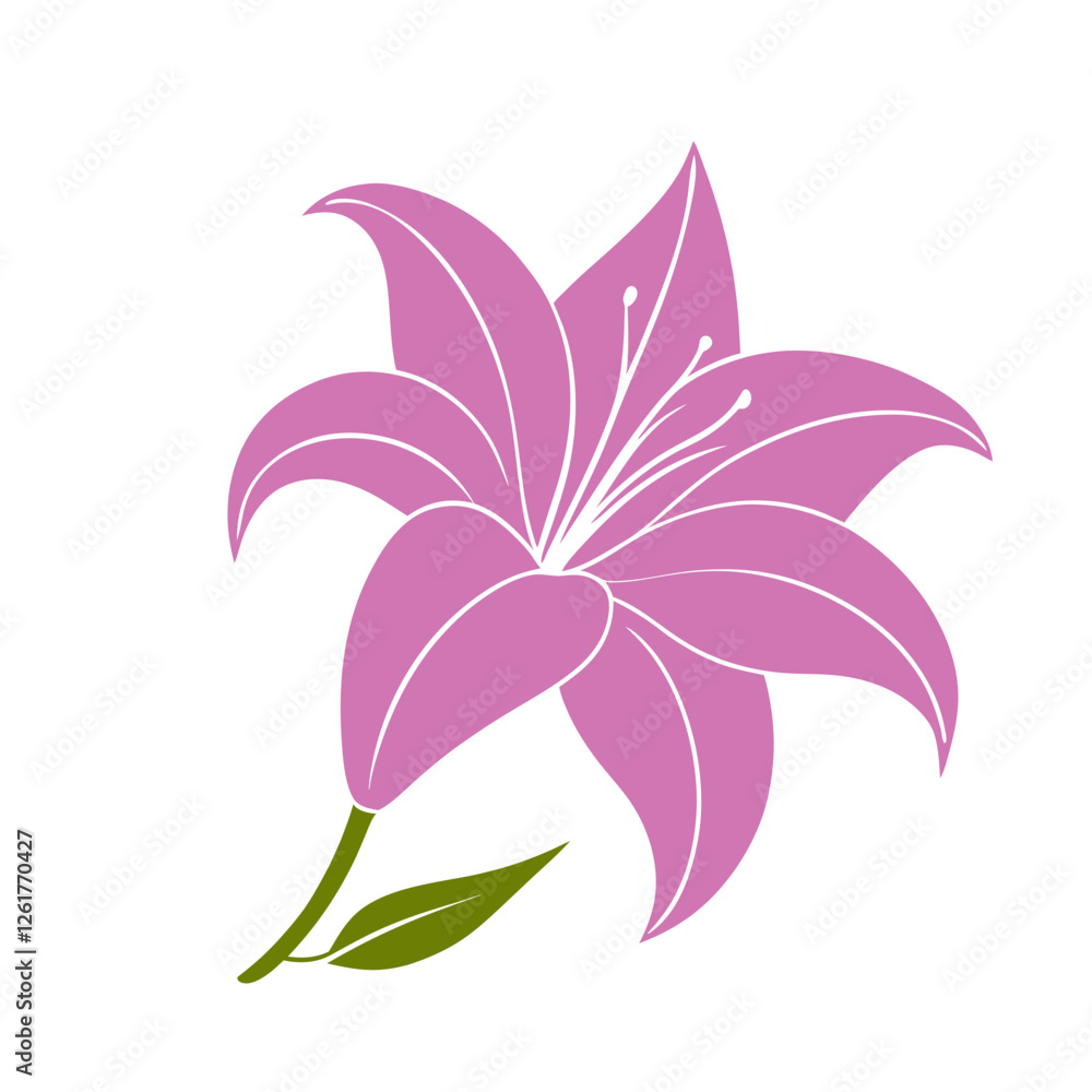 Elegant Of A Pink Lili Flower Elegant Of A Pink Lili Flower