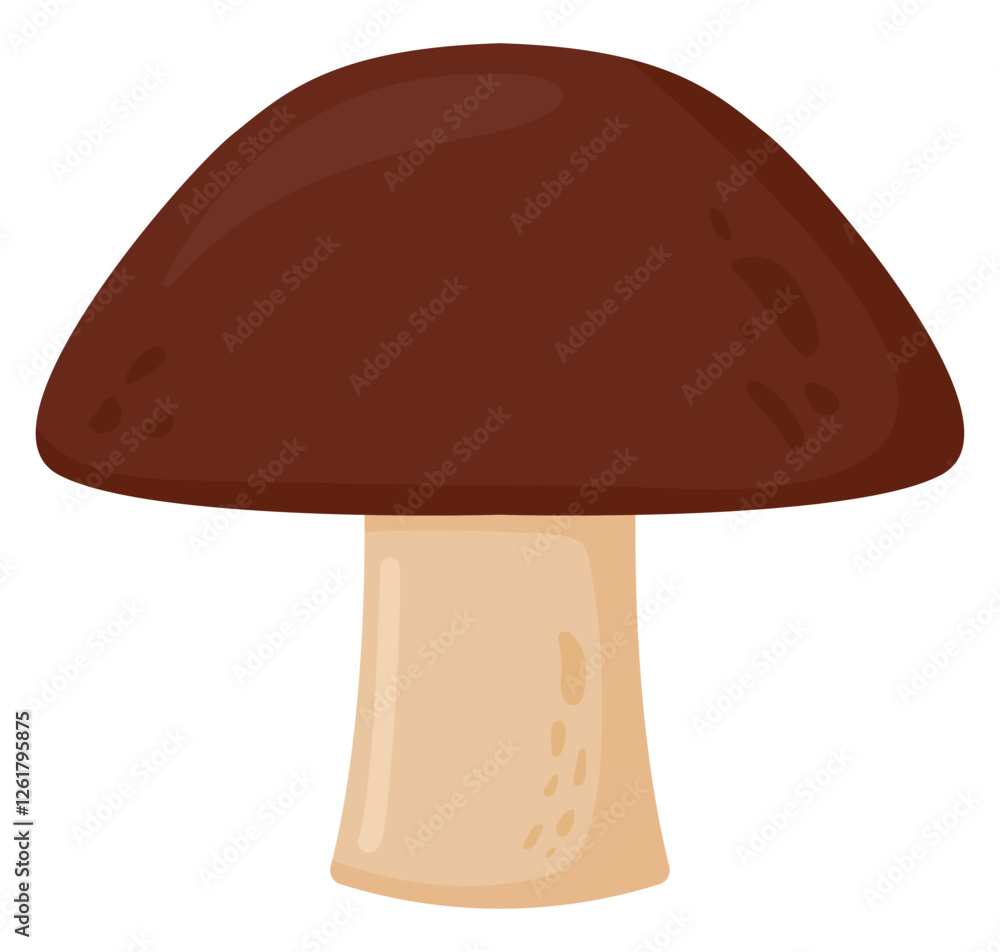 Mushroom icon vector isolated on white background. Mushroom icon vector isolated on white background.