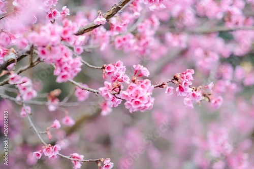 Japanese style is a unique blend of tradition and modernity, characterized by simplicity, elegance, and harmony with nature. It emphasizes minimalism, clean lines, and natural materials such as wood, 