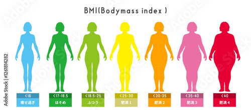 女性のBMI 肥満指数 ボディマス指数のイラストセット 全身正面