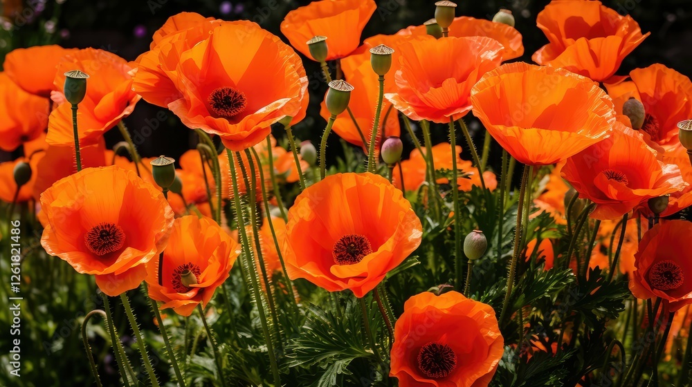 Fototapeta premium vibrant 2021 orange