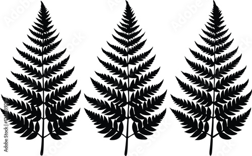 fern leaf silhouette vector set, tropical leaves silhouette