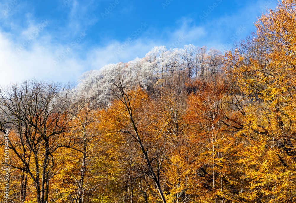 morning in a mountainous area, frost fell on the trees, the first rays of the sun awaken nature morning in a mountainous area, frost fell on the trees, the first rays of the sun awaken nature