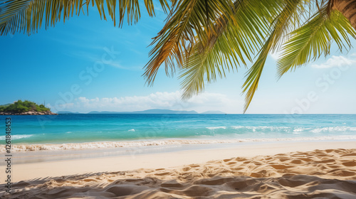 Tropical beach. Summer vacation on a tropical island with beautiful beach and palm trees. Tropical Maldives.