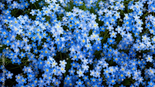 not spring flowers background