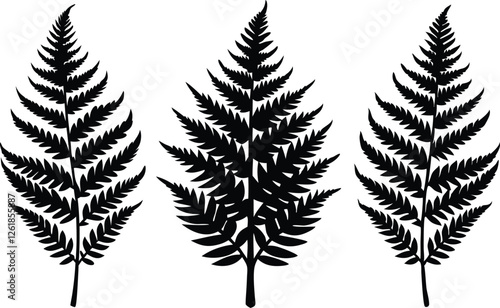 fern leaf silhouette vector set, tropical leaves silhouette