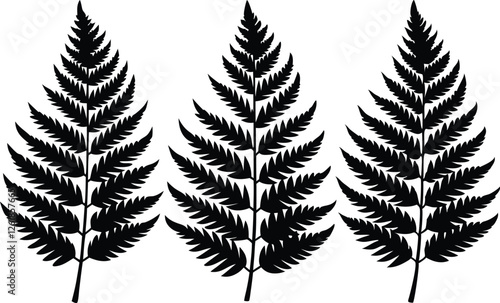 fern leaf silhouette vector set, tropical leaves silhouette