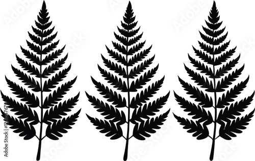 fern leaf silhouette vector set, tropical leaves silhouette