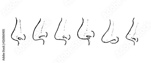 Different shapes of human noses hand-drawn doodle cartoon vector line art.