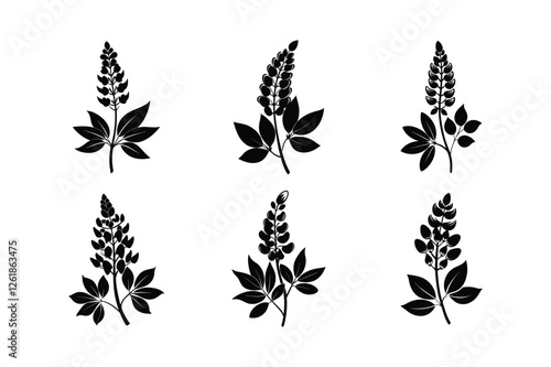 False Indigo (Amorpha fruticosa) silhouette vector illustration