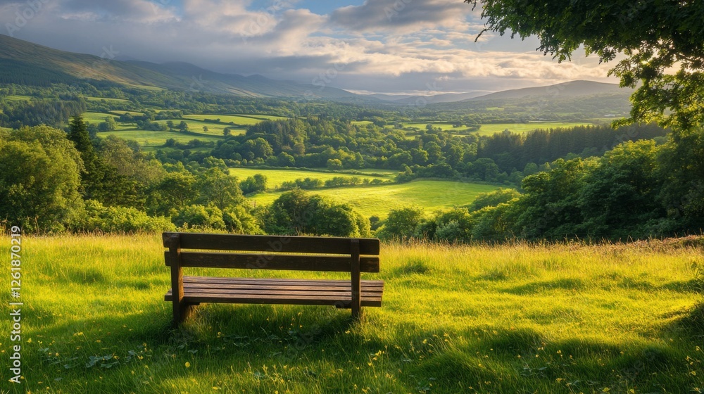 Serene Wooden Bench Overlooking Lush Green Valley Serene Wooden Bench Overlooking Lush Green Valley