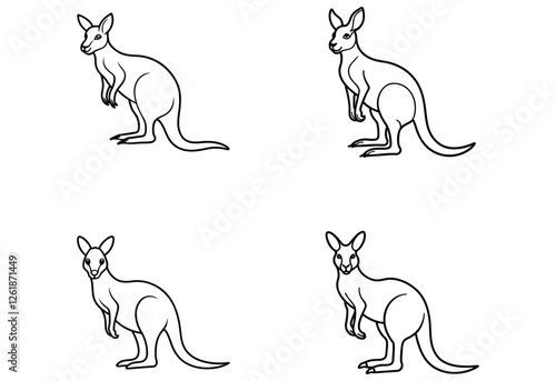 Photography set of kangaroo vector line art on white background