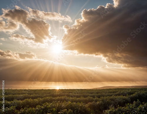 Morning sun bursting through cloudbank photo