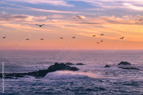 Pelicans flying over Point Lobos inlet. Crashing waves along Pacific Ocean at sunset with pink fluffy clouds in the sky