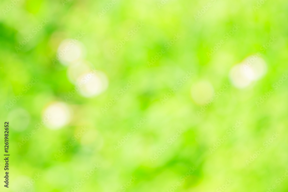 Spring nature blurred green background, Abstract bokeh blur with sunlight Spring nature blurred green background, Abstract bokeh blur with sunlight