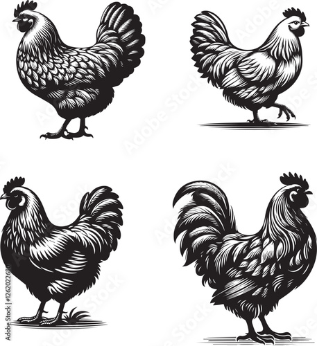 Silhouette of Ginger Hen isolated with white background