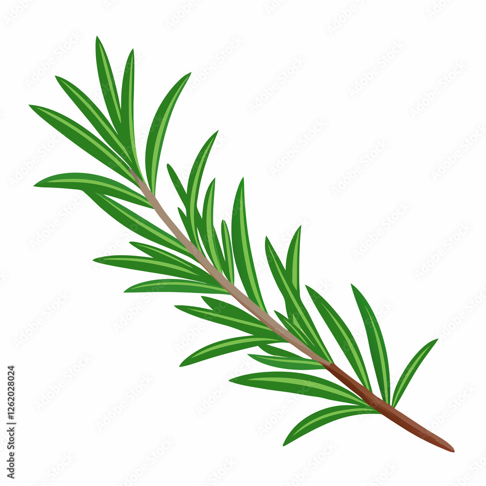 sprig of rosemary sprig of rosemary