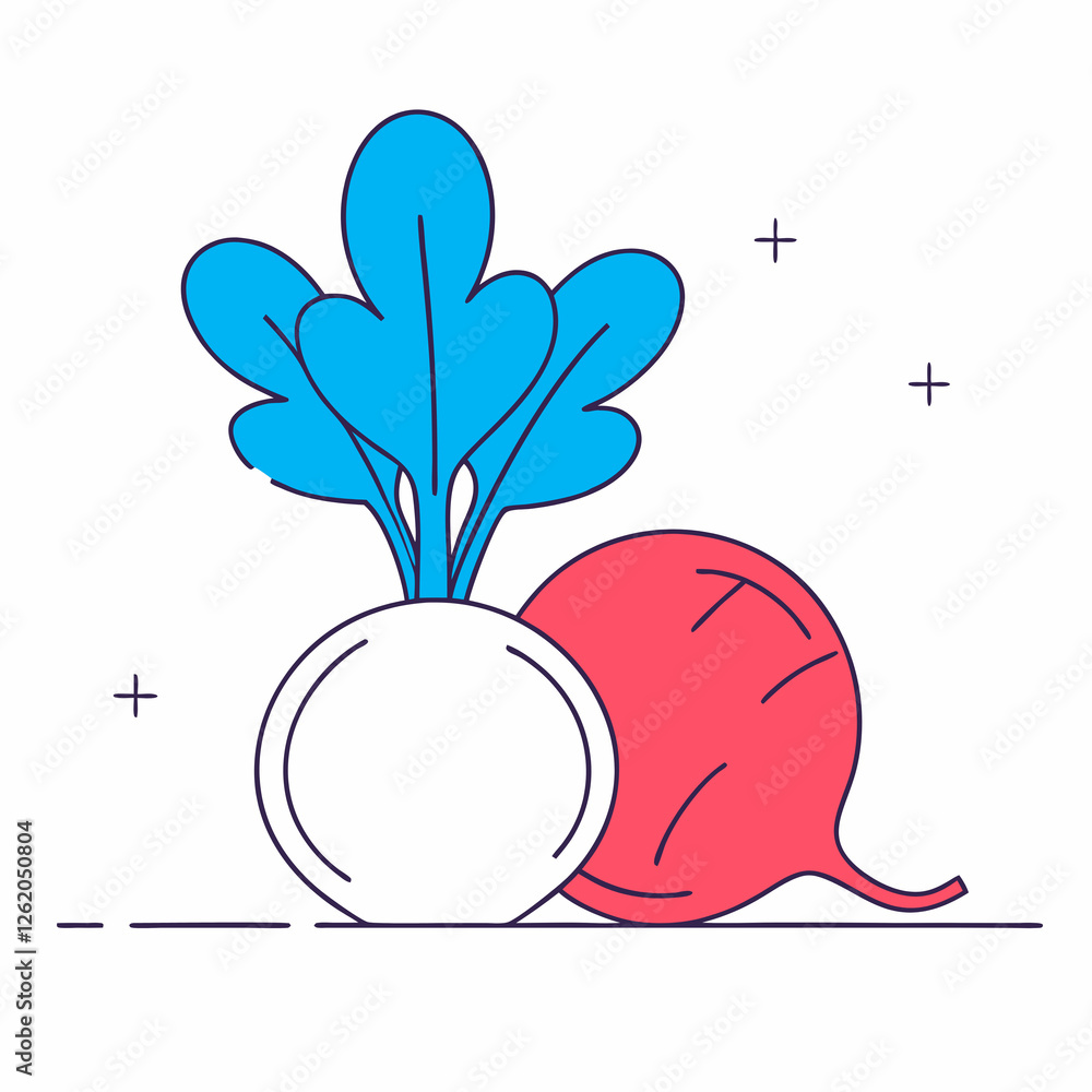fresh radish fresh radish