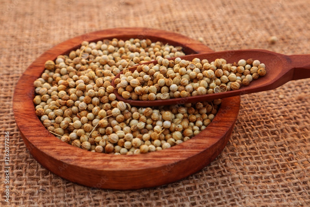 Coriander seeds (Coriandrum sativum) in a wooden bowl and some scattered around it, close up view. Coriander seeds (Coriandrum sativum) in a wooden bowl and some scattered around it, close up view.