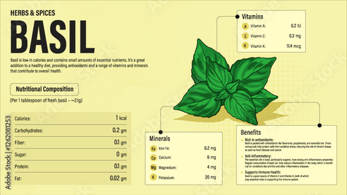 Basil Herb Nutrition Facts and Health Benefits–Detailed Vector Infographic for Healthy Eating and Wellness