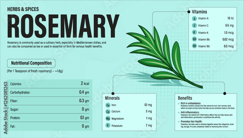 Rosemary Herb Nutrition Facts and Health Benefits–Detailed Vector Infographic for Healthy Eating and Wellness