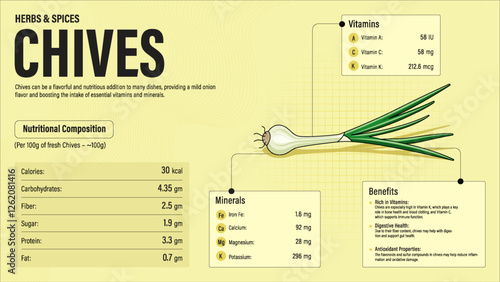 Chives Herb Nutrition Facts and Health Benefits–Detailed Vector Infographic for Healthy Eating and Wellness